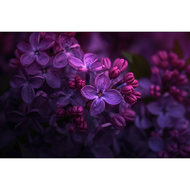 Purple Flower Painting Canvas